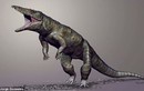 Phát hiện cá sấu "khủng" thống trị Trái đất trước khủng long
