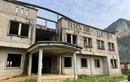 Hé lộ chủ nhà máy xi măng Phú Sơn 5.000 tỷ đồng “đắp chiếu” 15 năm