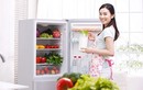 Chiêu mua tủ lạnh “cũ người mới ta” không bị hớ
