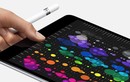 Apple sắp tung iPad 2018 có thiết kế màn hình như iPhone X