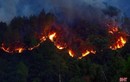 500 người trắng đêm dập lửa cứu rừng