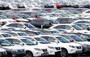 Nhật Bản đóng cửa hàng loạt nhà máy ôtô sau động đất