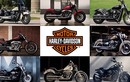Xe môtô Harley-Davidson Softail 2018 lộ giá tại Việt Nam