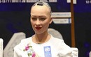 Những câu nói ấn tượng của robot Sophia khi đến VN