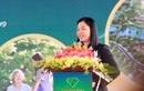 Chân dung đại gia Nguyễn Thị Thanh Hương điều hành An Thịnh group 