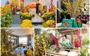 Nhà ngập hoa, cây cảnh như chợ xuân của các Hoa hậu Việt