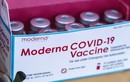 Moderna công bố lý do 1,6 triệu liều vắc xin ở Nhật bị đình chỉ