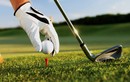  Muốn chơi golf sang chảnh như Hiền Hồ cần chi bao nhiêu tiền?