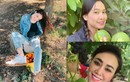 Choáng ngợp khu vườn bạc tỷ của Hoa hậu Việt ở trời Tây