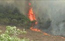 Hàng loạt vụ cháy rừng ở Quảng Bình, Nghệ An, Hà Tĩnh