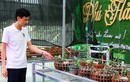Có gì bên trong vườn lan đột biến được định giá gần 100 tỷ đồng ở Phú Thọ?