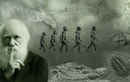 Bằng chứng mới cáo buộc nhà bác học Darwin đánh cắp Thuyết Tiến hóa?