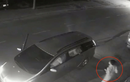 Video: Thanh niên lái ô tô đi trộm chó ở TPHCM