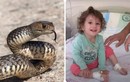 Choáng bé gái 2 tuổi bình thản giết chết con rắn vừa cắn mình