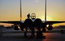 Mỹ rút 12 máy bay tiêm kích khỏi Thổ Nhĩ Kỳ
