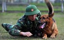 Chó nghiệp vụ được công an Việt Nam tuyển chọn, huấn luyện thế nào trước khi "ra trận"?