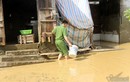 Ngập lụt ở Chương Mỹ: Nước đã rút, khẩn trương phòng chống dịch bệnh
