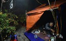 “Cắm trại” trên đường phố Hà Nội trông đào quất xuyên đêm