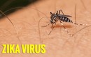 Hàn Quốc ghi nhận trường hợp thứ 6 nhiễm Zika