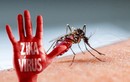 Phát hiện thêm 1 người Việt nhiễm Zika