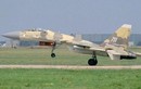 Tiêm kích Su-37 mang danh "kẻ hủy diệt" của Nga tròn 25 tuổi