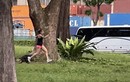 Cô gái bị đàn rái cá rượt đuổi “chạy té khói” trong công viên