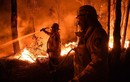 Top thảm họa cháy rừng khủng khiếp nhất lịch sử nhân loại 