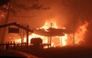 Cháy rừng California: Nhìn lại những thảm hoạ trước đó  