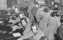 "Soi" trung tâm đào tạo tình báo quân sự của Mỹ trong Thế chiến 2