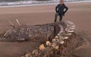 Cực sốc: Đã tìm thấy bộ xương của quái vật hồ Loch Ness?