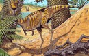 Phát hiện loài khủng long lạ, ăn thịt nhưng không có răng