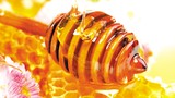 Ngộ độc do dùng mật ong đánh tưa lưỡi