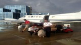 Thuê máy bay riêng đưa lợn đi du lịch nước Mỹ