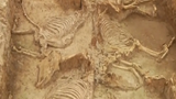 Video: Hé lộ bí ẩn hàng chục mộ cổ gần 3.000 năm tuổi