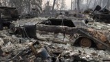 Giật mình những con số khủng khiếp trong thảm họa cháy rừng California