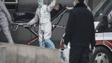 Châu Á chạy đua kiểm soát virus lạ chết người từ Trung Quốc
