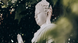 Nếu bạn đang chán nản với cuộc đời, hãy ngẫm 15 điều Phật dạy về hạnh phúc