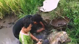 “Phát thèm” xem người đàn ông bắt cá đồng mỏi tay từ hố bùn