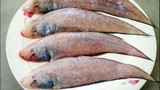 Khám phá cá lưỡi trâu có 2 mắt 1 bên, phổ biến ở VN