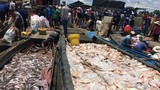 Sau nhà máy AB Mauri gây hôi khắp vùng, hàng chục tấn cá chết trắng sông