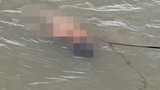 Phát hiện thi thể thiếu niên khỏa thân trên sông Cấm