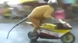 Khỉ đội mũ bảo hiểm lái mô tô cực ngầu gây thích thú