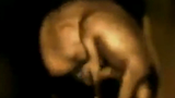 Video ghi lại cảnh em bé nhảy múa trong bụng mẹ