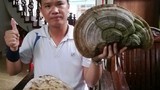 Phát hiện nấm linh chi “khủng” trên cây đa ở Hải Dương