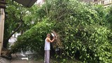 Thiệt hại ban đầu do bão số 2 tại Nghệ An, Hà Tĩnh