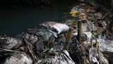 10m3 dầu thải đổ xuống sông Đà ô nhiễm nước máy Hà Nội: “Hung thủ” khai chưa trung thực?