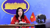 Việt Nam đưa 800 công dân ở nước ngoài về nước, 40 người còn "mắc kẹt"