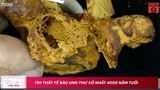 Video: Tìm thấy tế bào ung thư cổ nhất 4000 năm tuổi