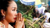 Ốc Thanh Vân đau lòng vụ cây phượng đổ khiến học sinh tử vong