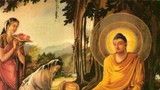 Phật dạy: Ai làm được 3 việc này, cả đời được hưởng phúc ấm